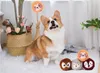 Tennisball Hundespielzeug Plüsch Quietschig Fetch 4 Stück Produktbild-Vorschau 4