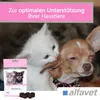 Alfavet FeliGum Gingiva 120g für Katzen und kleine Hunde Produktbild-Vorschau 5