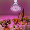 A grow light illuminates a collection of potted plants. Produktbild-Vorschau