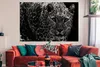 MuchoWow® Poster Schwarz-Weiß-Foto eines farbigen Leoparden Produktbild-Vorschau 2