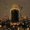 albero di Natale a 100 luci con aggiunta di flash e presa Anteprima dell’immagine prodotto 5