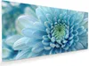 Glasbild 100x50cm in XXL für Wohnzimmer, Schlafzimmer Motiv Produktbild-Vorschau 1