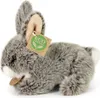 Rappa Plyšový králík tmavě šedý ležící 17 cm ECO-FRIENDLY Náhled obrázku produktu 6
