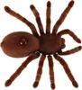 Aga Diaľkovo ovládaný pavúk TARANTULA hnedý Náhľad obrázku produktu 5