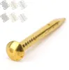 100 kusů mosazných hřebíků s půlkulatou hlavou, 22mm Náhled obrázku produktu 3