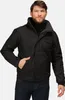 Regatta Dover Jacke mit Thermo-Guard-Isolierung, Produktbild-Vorschau 4