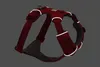 Ruffwear Front Range™ Hundegeschirr Produktbild-Vorschau 12