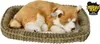 Perfect Petzzz 96538 Shiba Inu Produktbild-Vorschau 2