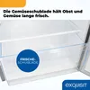 Exquisit Vollraumkühlschrank KS5320-V-H-010E inoxlook | Produktbild-Vorschau 8