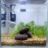 Sassi per acquario, Lawa Czarna Otaczana, rocce decorative Anteprima dell’immagine prodotto 7