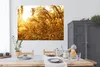 MuchoWow® Poster Pampasgras - Sonne - Gras 160x120 cm - Produktbild-Vorschau 3