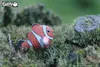 Eugy Clownfish, Animals, 6 lat(a) Podgląd zdjęcia produktu 14