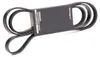 RIDEX Keilrippenriemen 2020mm für BMW X5 (E53) 305P0455 Produktbild-Vorschau 3