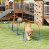 PawHut Hunde-Agility-Trainingsgeräte, Hund Agility Set, Produktbild-Vorschau 2