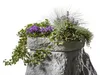 GreenLife Pflanzschale GreenLine für Dekorregenspeicher Produktbild-Vorschau 2