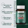 Saint Nutrition® Spermidin Kapseln | Hochdosiert mit 6mg Produktbild-Vorschau 6