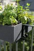 Lechuza Samozavlažovací truhlík Balconera Cottage 40 cm, Náhled obrázku produktu 10