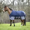 Cintura addominale Equithème Tyrex 600D - blu navy/grigio Anteprima dell’immagine prodotto 1