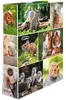HERMA Motiv-Ordner A4 Animals Nagetiere - A4 - Halteöse - Produktbild-Vorschau 9