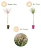 Salix Flamingo - Ø23cm - ↕140-160cm Voir les images du produit 4