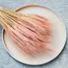 Getrocknete Triticale Pflanzen in Rosa, ca. 60 cm lang, ca. Produktbild-Vorschau 7