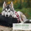 AniForte Trinkflasche für Hunde 400 ml - Weiße Produktbild-Vorschau 6