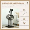 PawHut Kratzbaum, Katzenbaum im Zebra-Design, Produktbild-Vorschau 4
