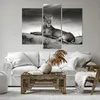Bild auf Leinwand - Leinwandbild - Tierwelt weiblich katze Produktbild-Vorschau 6