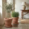 Teramico Blumentopf Terracotta "Doppio Bordo" frostfest Produktbild-Vorschau 2