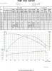 Gartenpumpe mit Druckschalter einstellbar CHM GmbH® Produktbild-Vorschau 3