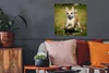 MuchoWow® Poster Ein lächelnder Chihuahua hüpft durch das Produktbild-Vorschau 2
