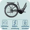 Tretwerk Amber Nexus E Bike Damen 28 Zoll Elektrofahrrad Produktbild-Vorschau 6