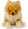 Carl Dick Spitz nano, cane di Pomerania seduto, cane, circa Anteprima dell’immagine prodotto 11
