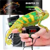 A chameleon is held in a hand, with a heating pad and thermostat visible. Voir les images du produit