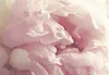 Vlies Fototapete Blumen 350x256 cm Tapeten Wandtapete XXL Produktbild-Vorschau 5