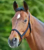 Waldhausen Grazing Halfter Blau Cob Blau Cob Produktbild-Vorschau 2