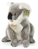 Plyšový medvedík koala 25 cm Ekologický Náhľad obrázku produktu 5