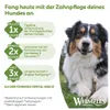 Pamlsky pro psy Whimzees Dental kartáček L 60 g, 6 ks Náhled obrázku produktu 10