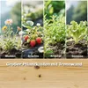 Outsunny Hochbeet mit Rankgitter Holz Blumenkasten mit 3 Produktbild-Vorschau 4