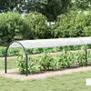 A garden tunnel covering tomato plants. Podgląd zdjęcia produktu