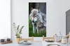 MuchoWow® Wandtattoo Wandsticker Wandaufkleber Wolf - Moos Produktbild-Vorschau 2