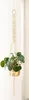 A plant in a gold pot is hanging from a macrame plant hanger against a white background. Produktbild-Vorschau