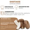 Hawlik Pilzbrut Shiitake Dübel – 20 Pilzdübel, Pilze Produktbild-Vorschau 3