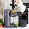 Sapcentrifuge voor harde groenten en fruit met Productafbeelding-voorbeeld 31