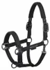 Eskadron Platinum Halfter " SPARKLE DOUBLE PIN ", Produktbild-Vorschau 2