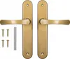 A set of gold-colored door handles with screws and a metal bar. Anteprima dell’immagine prodotto