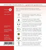 Dürr-Samen - Schokoladen- Tomaten Sacher F1 - Saatgut - Produktbild-Vorschau 3