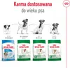 Royal Canin Mini Adult 8+, Dorosły, Mini (5 - 10 kg), Podgląd zdjęcia produktu 2