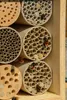 dobar Profi-Insektenhotel für Wildbienen, massive Nisthilfe Produktbild-Vorschau 3