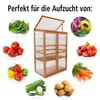 A greenhouse with various fruits and vegetables surrounding it, suggesting its use for growing produce. Produktbild-Vorschau